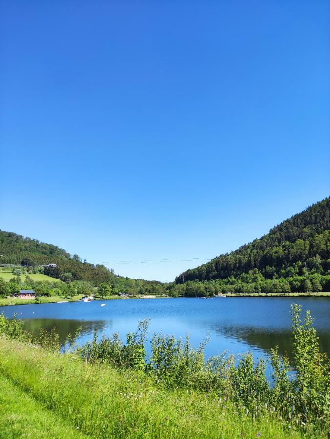 Zentrale Und Gemütliche In Nah An Der Winterberg