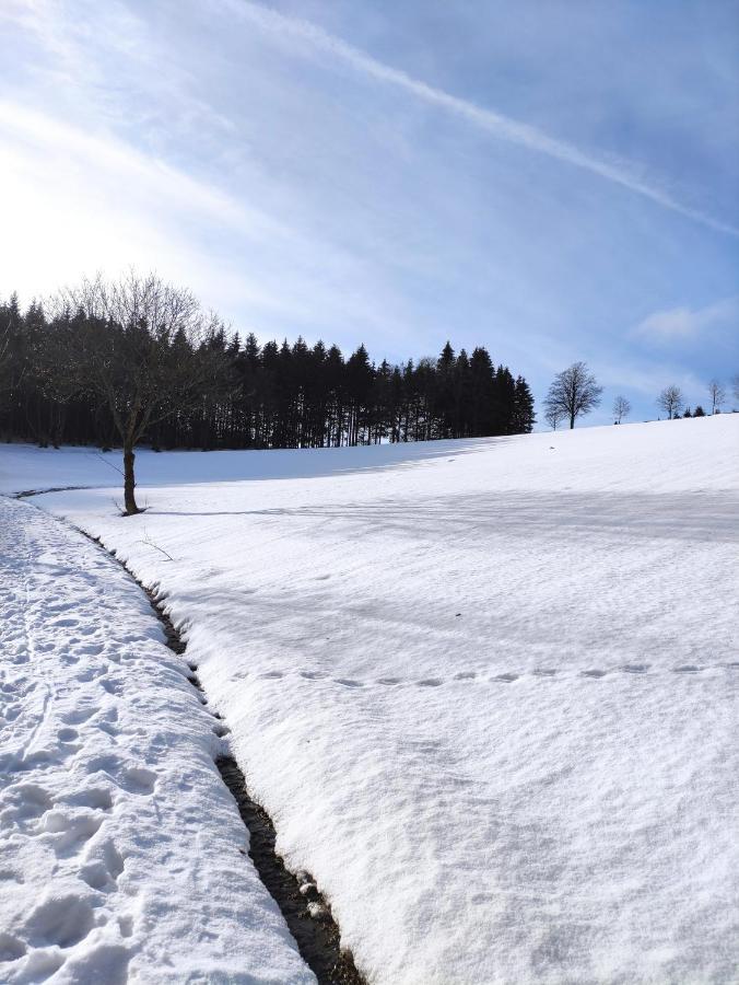Zentrale Und Gemütliche In Nah An Der Apartment Winterberg